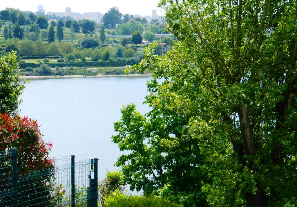 Terreno p/ contr. altura